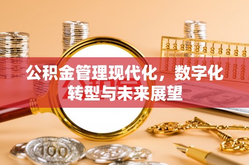 石柱公积金管理现代化，数字化转型与未来展望