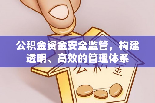 石柱公积金资金安全监管，构建透明、高效的管理体系