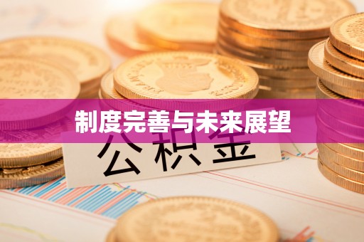 石柱制度完善与未来展望