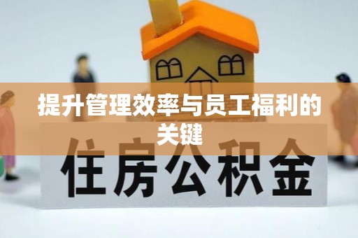 石柱提升管理效率与员工福利的关键