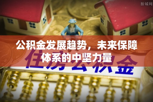 石柱公积金发展趋势，未来保障体系的中坚力量