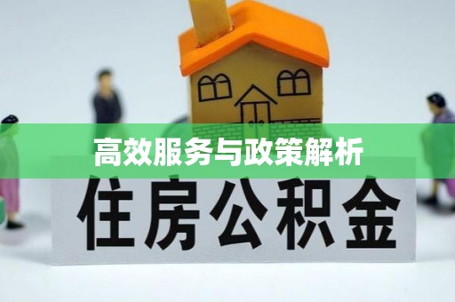 石柱高效服务与政策解析
