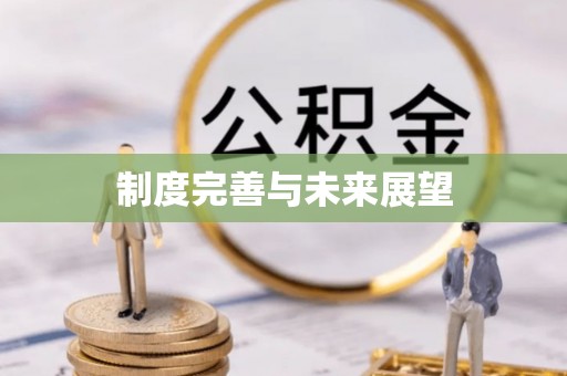 石柱制度完善与未来展望
