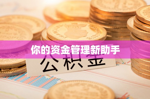 石柱你的资金管理新助手