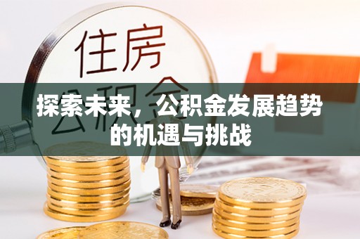 石柱探索未来，公积金发展趋势的机遇与挑战
