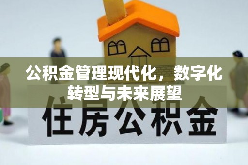 石柱公积金管理现代化，数字化转型与未来展望