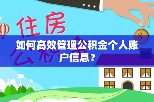 石柱如何高效管理公积金个人账户信息？