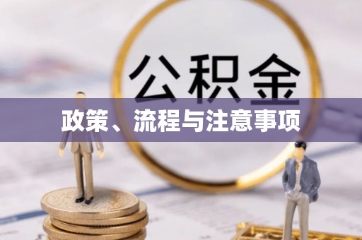 石柱政策、流程与注意事项