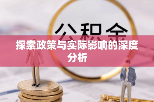 石柱探索政策与实际影响的深度分析