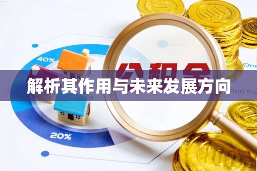 石柱解析其作用与未来发展方向