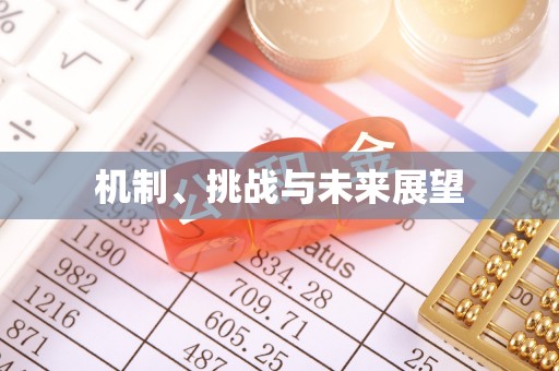 石柱机制、挑战与未来展望